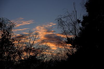 Low angle view of silhouette trees against sky at sunset