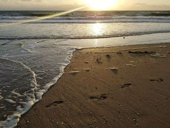 Close-up of beach against sky during sunset