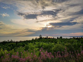 Scenic view of landscape against sky during sunset