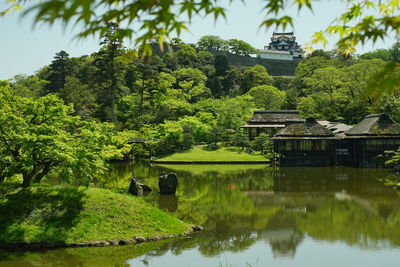 Genkyuen garden of hikone-jo castle at tender green season -2022, apr.