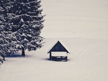 View of frozen trees on snowy landscape