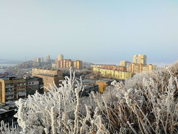 Panoramic shot of city buildings against clear sky