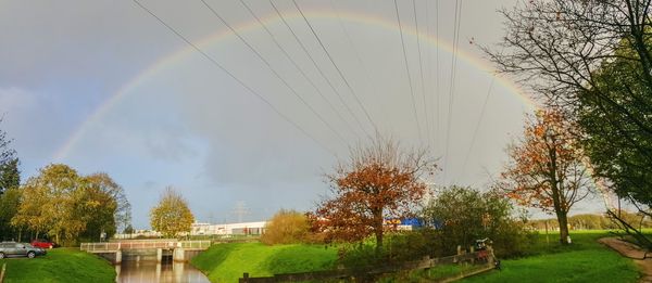Panoramic view of trees against sky