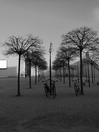 Bare trees by street against sky in city