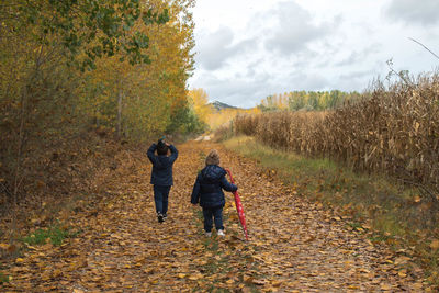 Rear view of men walking on footpath during autumn