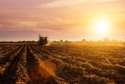 Scenic view of agricultural field against sky during sunset