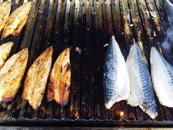 Close-up of fish on barbecue grill