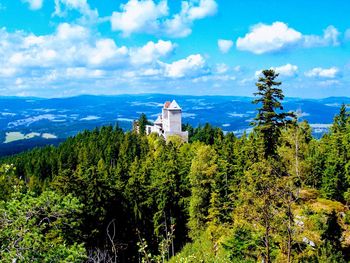 Plants and trees by building against sky