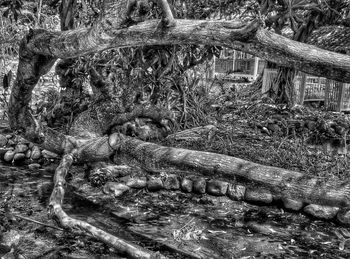 Old built structure with trees in background