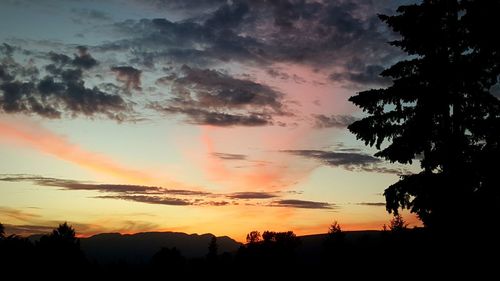 Silhouette of trees at sunset