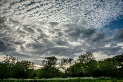 Scenic view of grassy field against cloudy sky