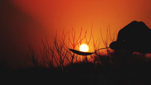 Close-up of silhouette plants against sunset sky