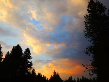 Low angle view of silhouette trees against dramatic sky