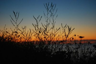 Scenic view of landscape against sky at sunset