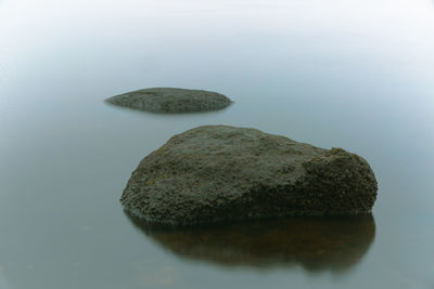 High angle view of stones on sea shore