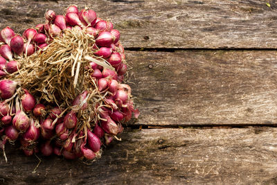 High angle view of pink flowers on table