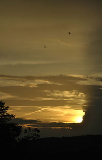 Silhouette birds flying against sky during sunset