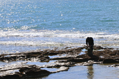 Rear view of woman standing on beach