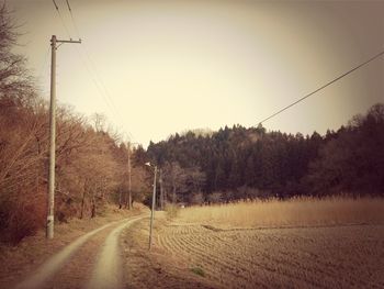 the way forward