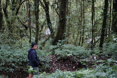 Man standing by trees in forest