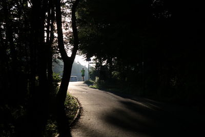 Empty road amidst trees in forest