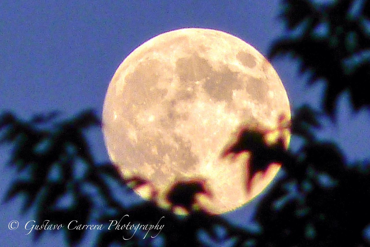 close-up, sphere, focus on foreground, low angle view, sky, circle, outdoors, night, one person, nature, dusk, silhouette, moon, clear sky, discovery, arts culture and entertainment, round, astronomy