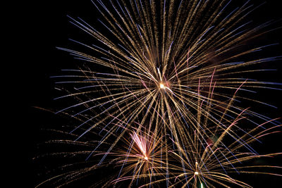 Low angle view of firework display against sky at night