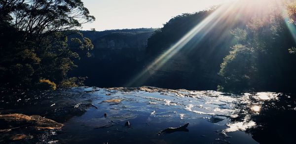 Scenic view of river amidst trees against sky