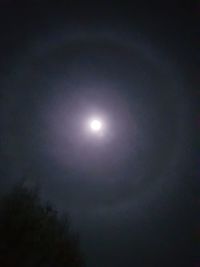 Low angle view of moon in sky at night