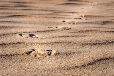 High angle view of footprints on sand at beach