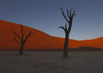 Bare tree on desert against clear sky