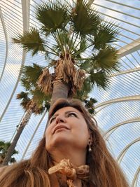 palm tree