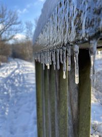 Close-up of icicles on wooden fence during winter