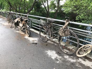 Bicycles on road by trees