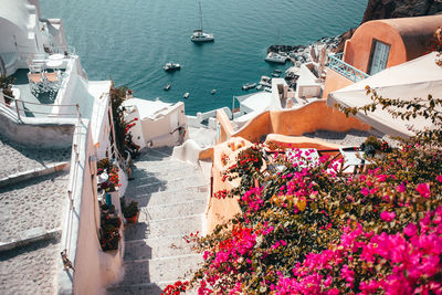 The views of santorini. imagine walking out of your airbnb looking at this. 