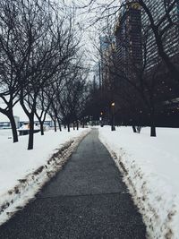 Road amidst bare trees during winter