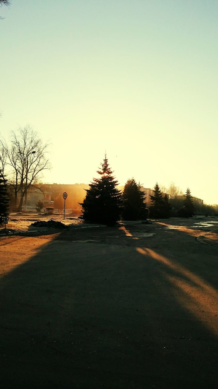 clear sky, copy space, road, transportation, street, the way forward, tranquility, tree, tranquil scene, car, asphalt, landscape, nature, outdoors, road marking, empty, no people, surface level, sunset, sunlight