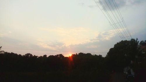 Silhouette trees against sky during sunset