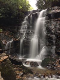 Low angle view of waterfall in forest