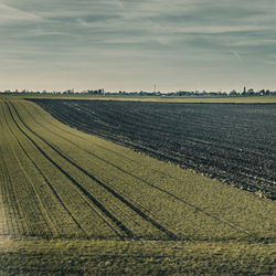 Scenic view of field against sky