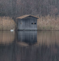 Birdwatching hide by lake with a swan