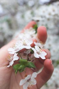 human hand