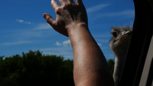 Low angle view of man against sky