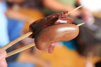 Close-up of hand holding crab