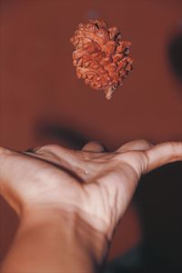 Close-up of hand holding food by wall