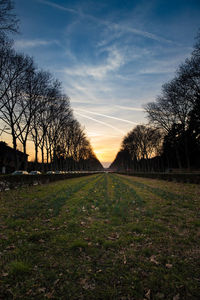 Trees on field against sky during sunset