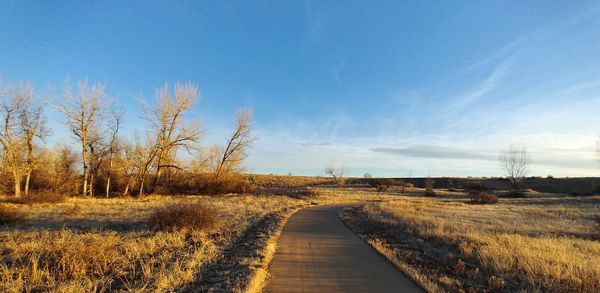 Road amidst field against sky