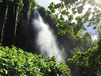 Scenic view of waterfall in forest against sky