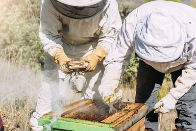 People working on beekeeping