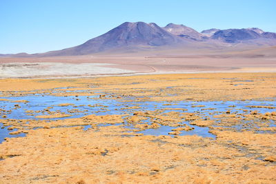 Scenic view of landscape against blue sky